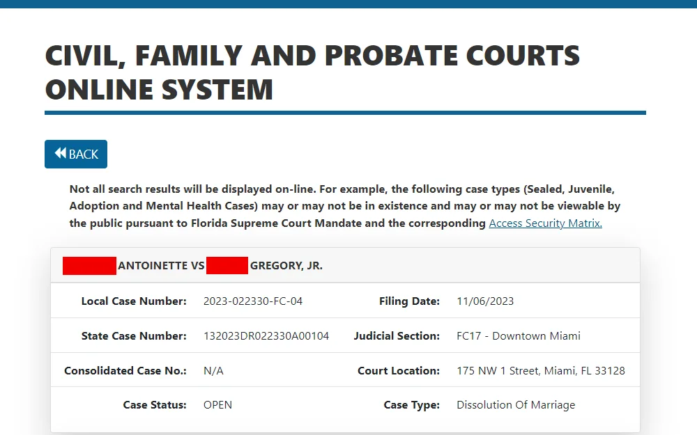 A screenshot of the search tool that allows the public to find out whether someone is divorced in Miami-Dade County.